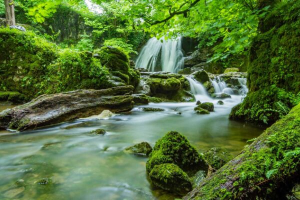 Kindergeburtstag Tios Natur Heppenheim